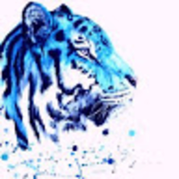 Meet your Posher, Sergio - Picture 1 of 1